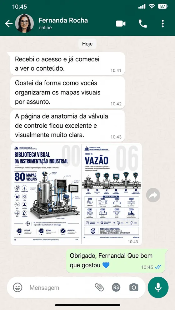 Depoimento de cliente sobre a Biblioteca Visual da Instrumentação Industrial